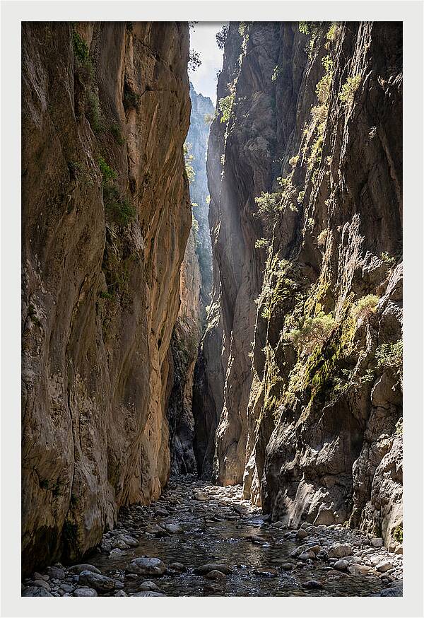 Samaria Gorge Serenity