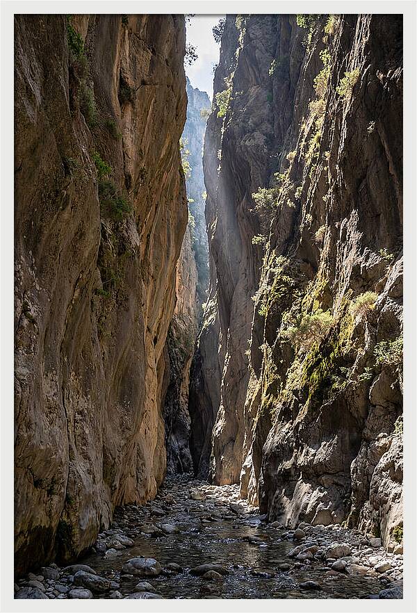 Samaria Gorge Serenity