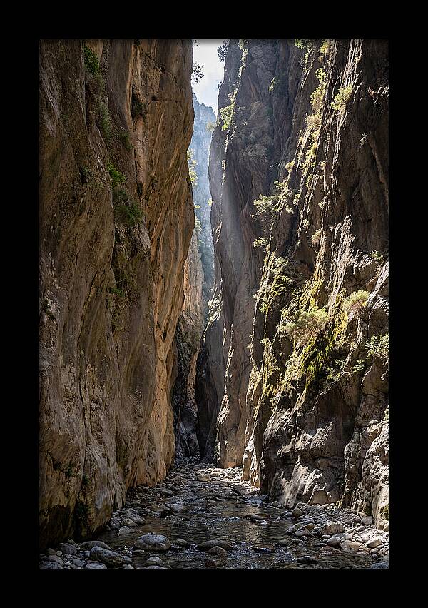 Samaria Gorge Serenity