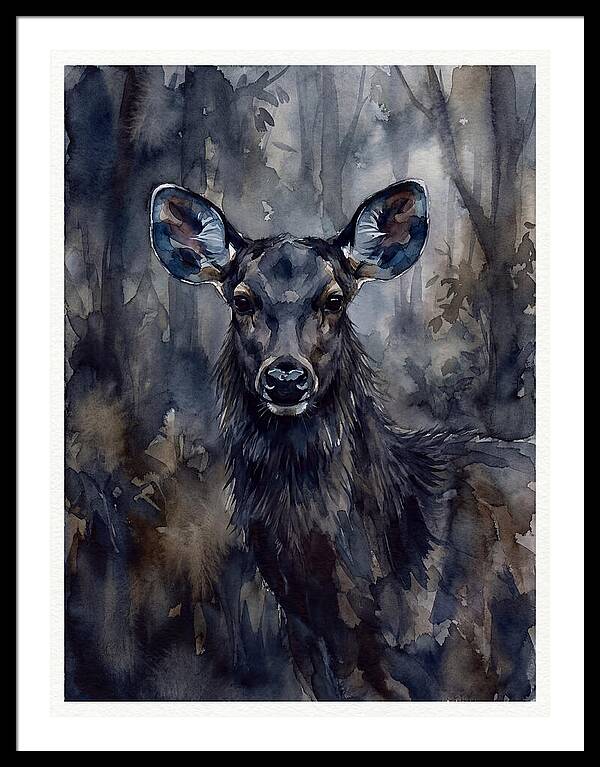 Sambar Deer In Misty Forest