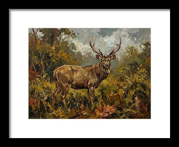 Sambar Deer In Nature