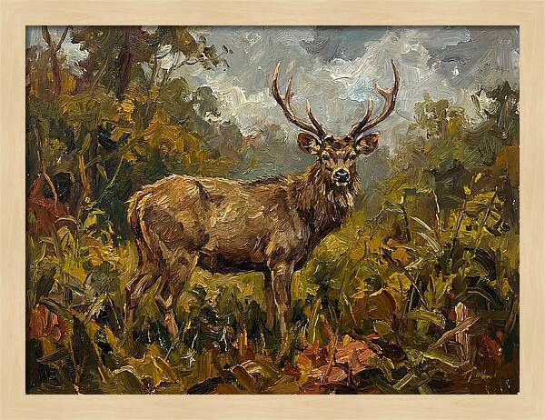 Sambar Deer In Nature