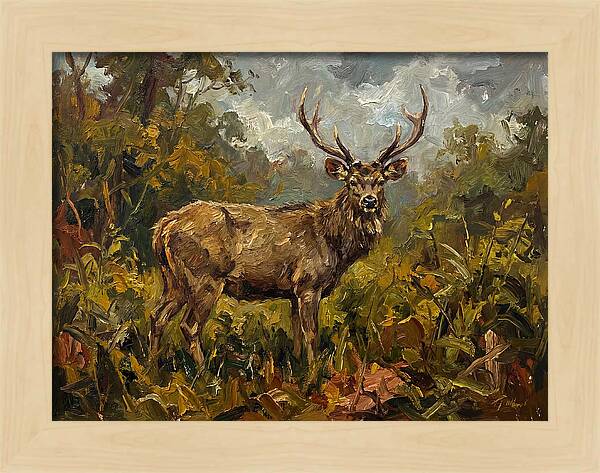 Sambar Deer In Nature