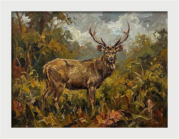 Sambar Deer In Nature