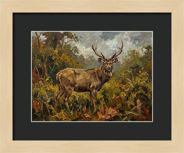 Sambar Deer In Nature