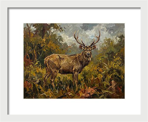 Sambar Deer In Nature
