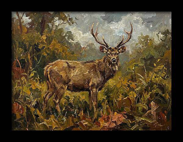 Sambar Deer In Nature