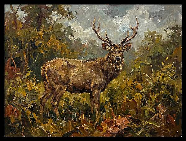 Sambar Deer In Nature