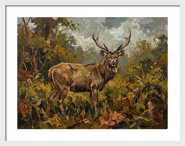Sambar Deer In Nature