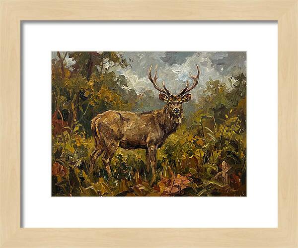 Sambar Deer In Nature