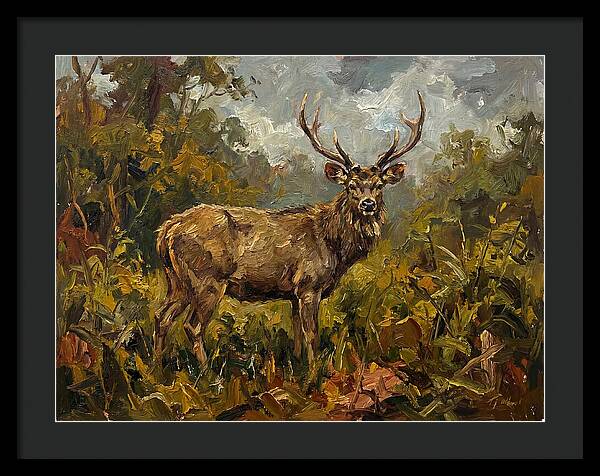 Sambar Deer In Nature