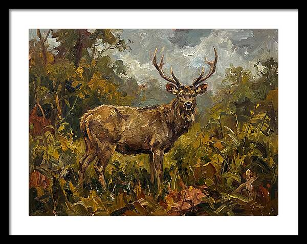 Sambar Deer In Nature