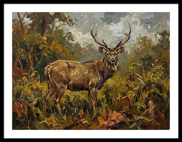 Sambar Deer In Nature