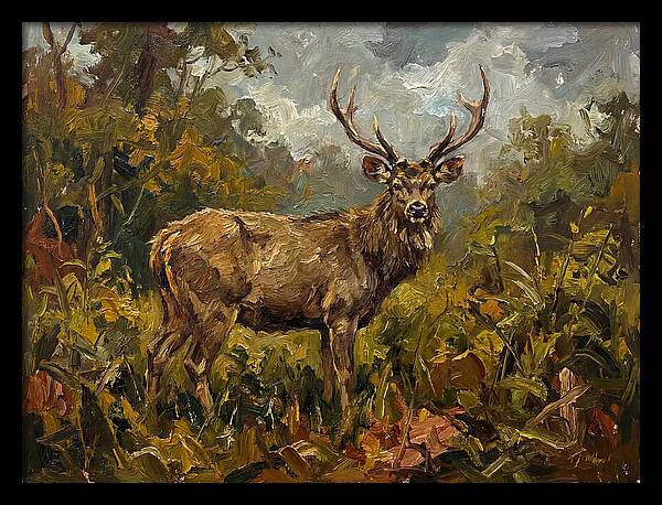 Sambar Deer In Nature
