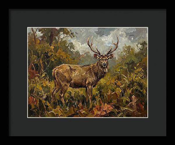 Sambar Deer In Nature