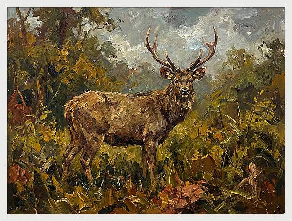 Sambar Deer In Nature