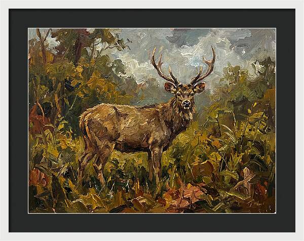 Sambar Deer In Nature