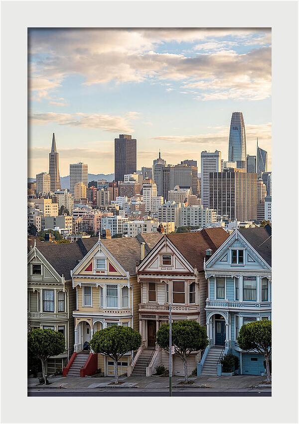 San Francisco Painted Ladies