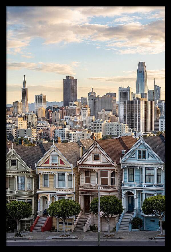 San Francisco Painted Ladies