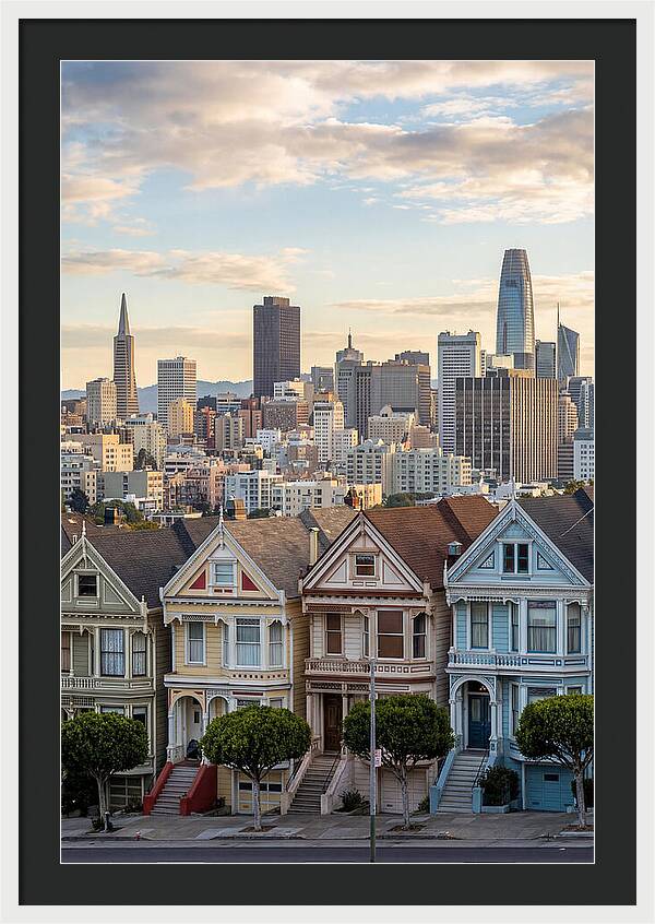 San Francisco Painted Ladies