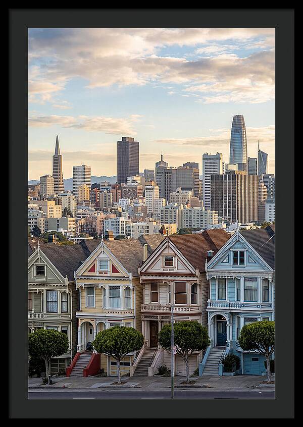 San Francisco Painted Ladies
