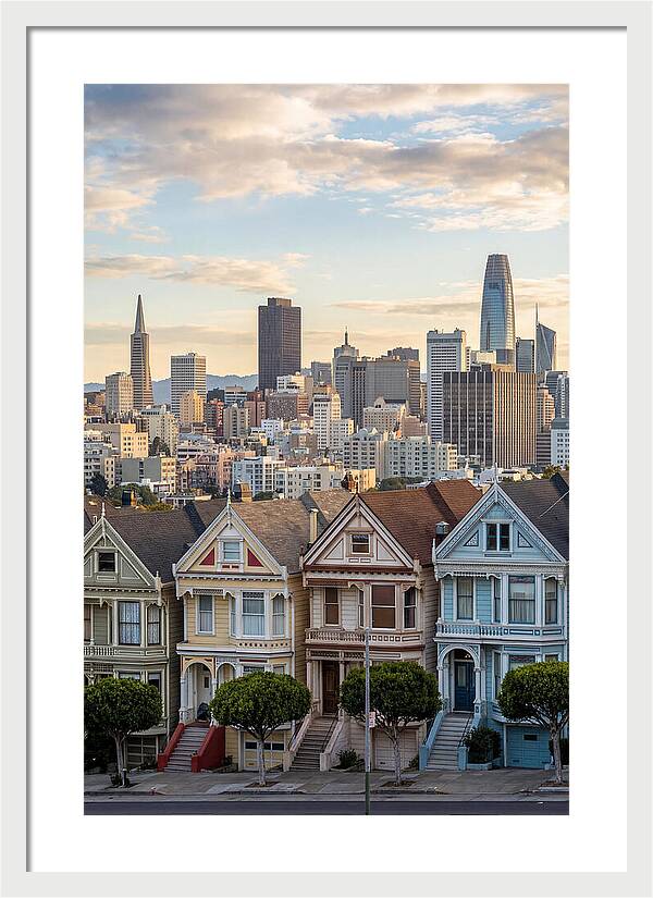 San Francisco Painted Ladies