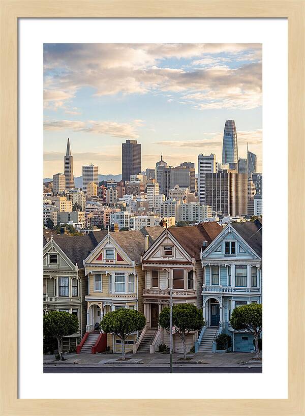 San Francisco Painted Ladies