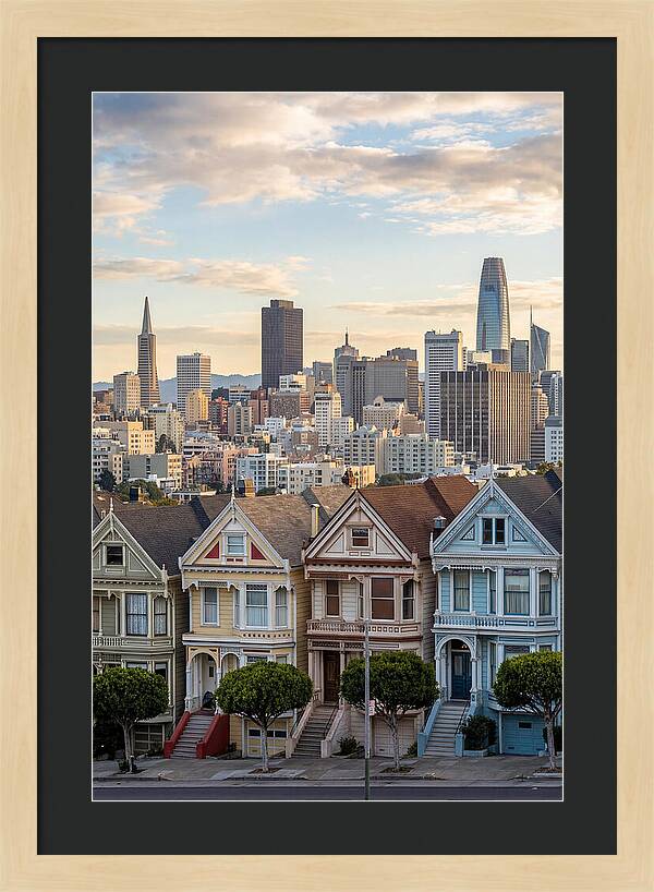 San Francisco Painted Ladies