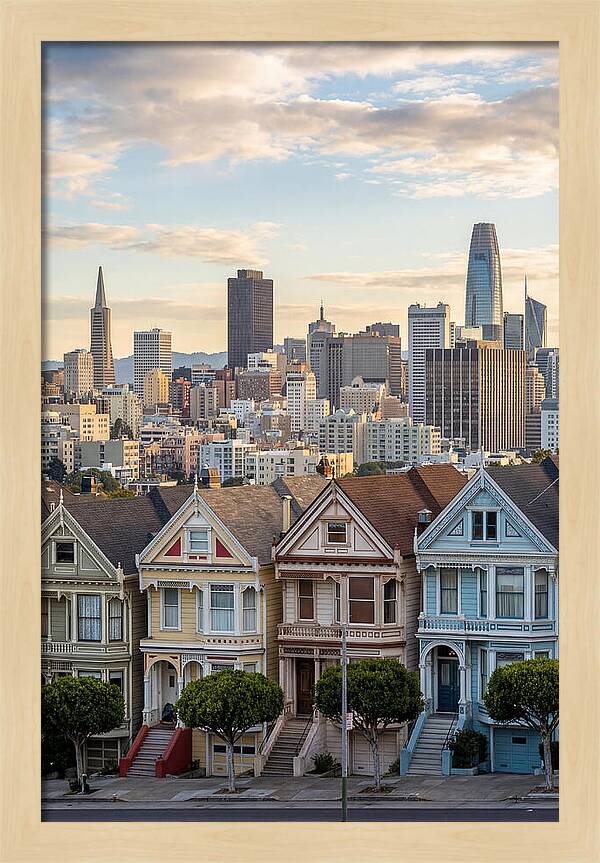 San Francisco Painted Ladies