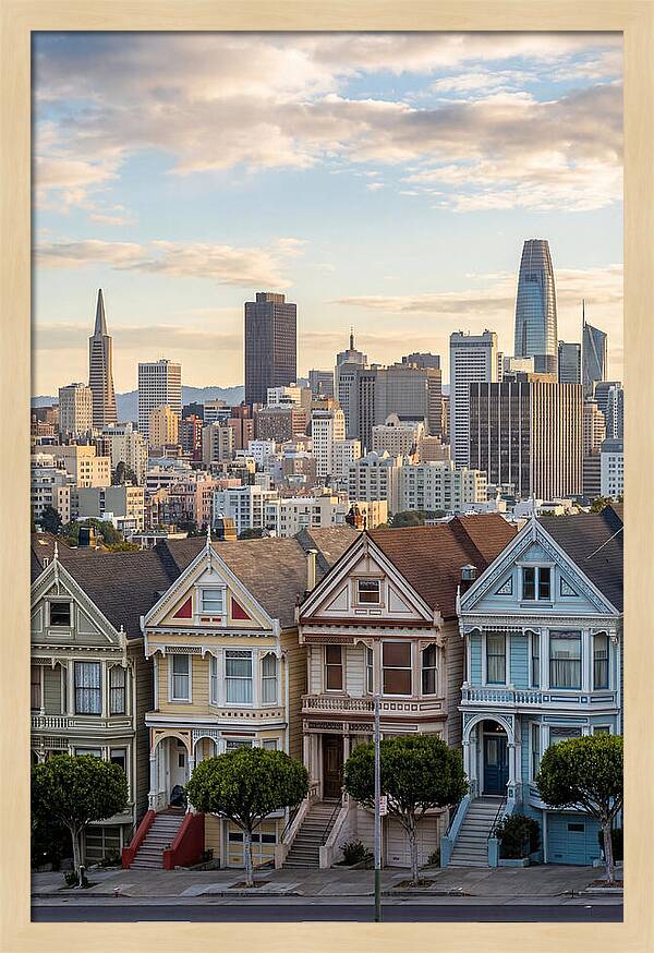 San Francisco Painted Ladies