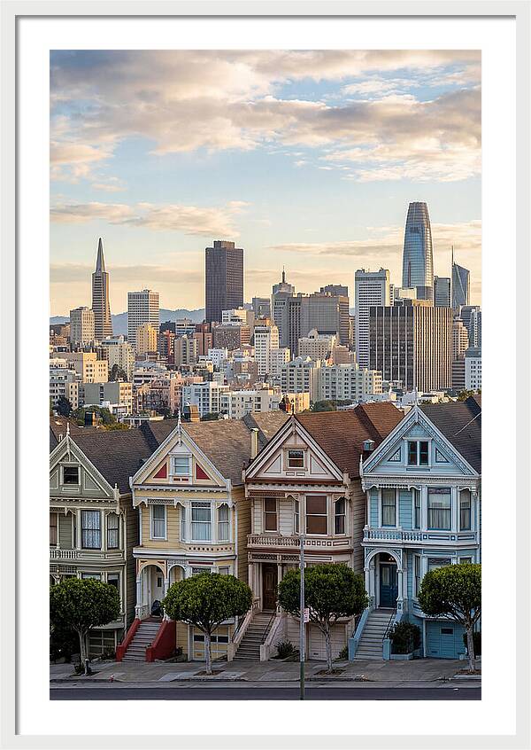 San Francisco Painted Ladies
