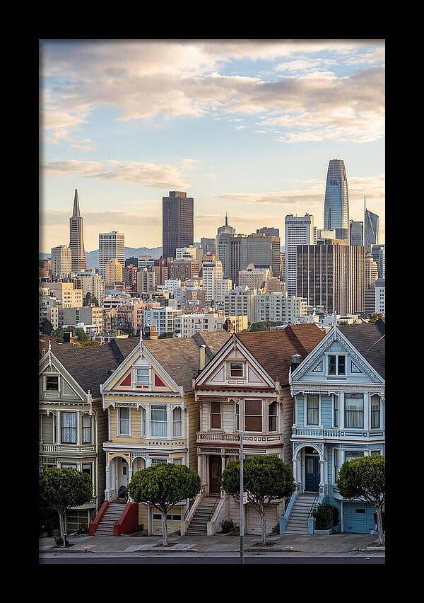 San Francisco Painted Ladies