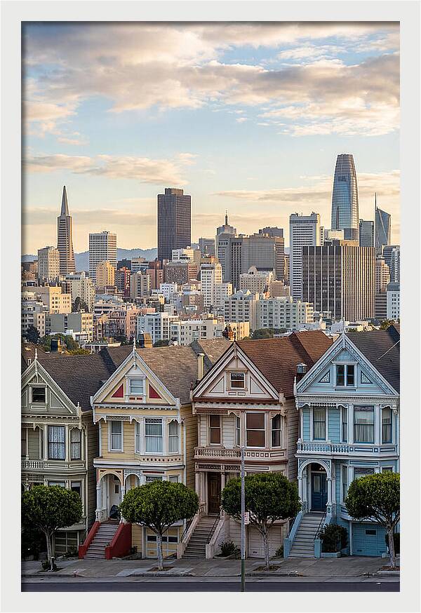 San Francisco Painted Ladies