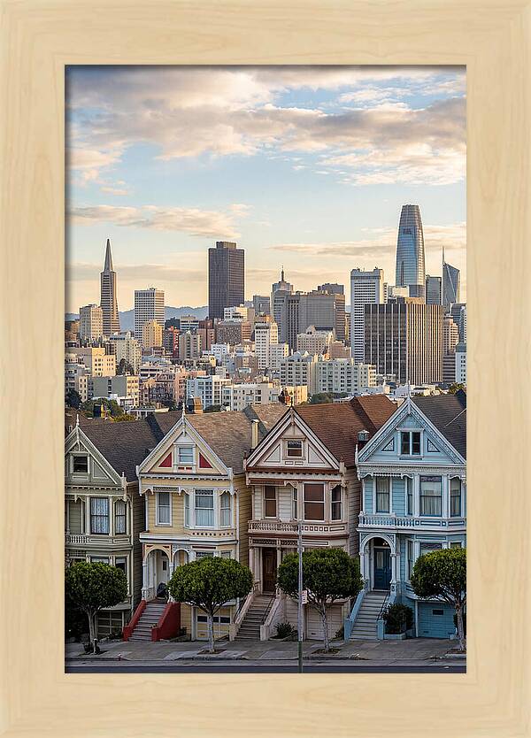 San Francisco Painted Ladies