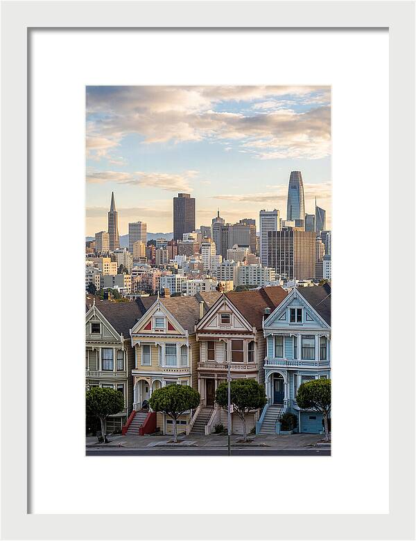 San Francisco Painted Ladies