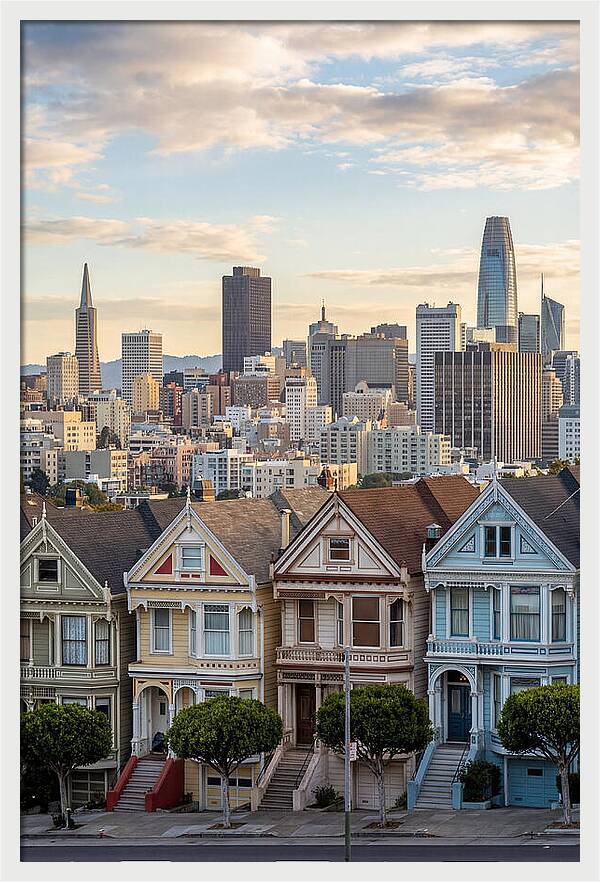 San Francisco Painted Ladies