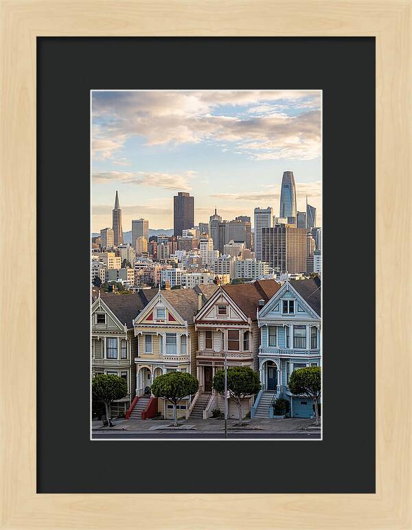 San Francisco Painted Ladies