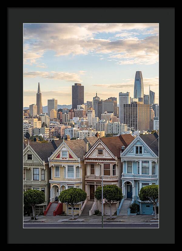 San Francisco Painted Ladies