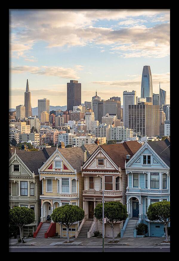 San Francisco Painted Ladies