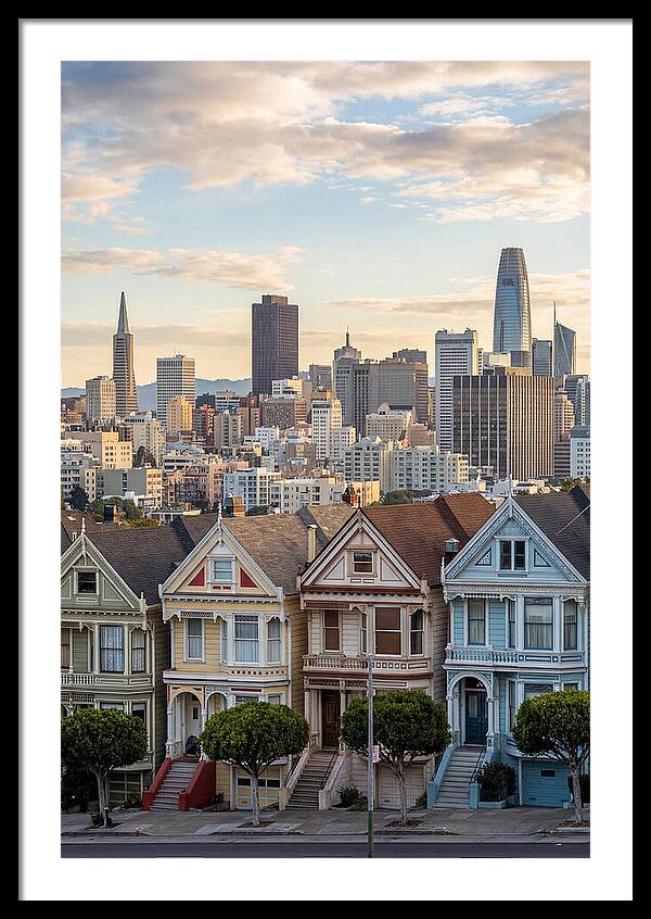 San Francisco Painted Ladies
