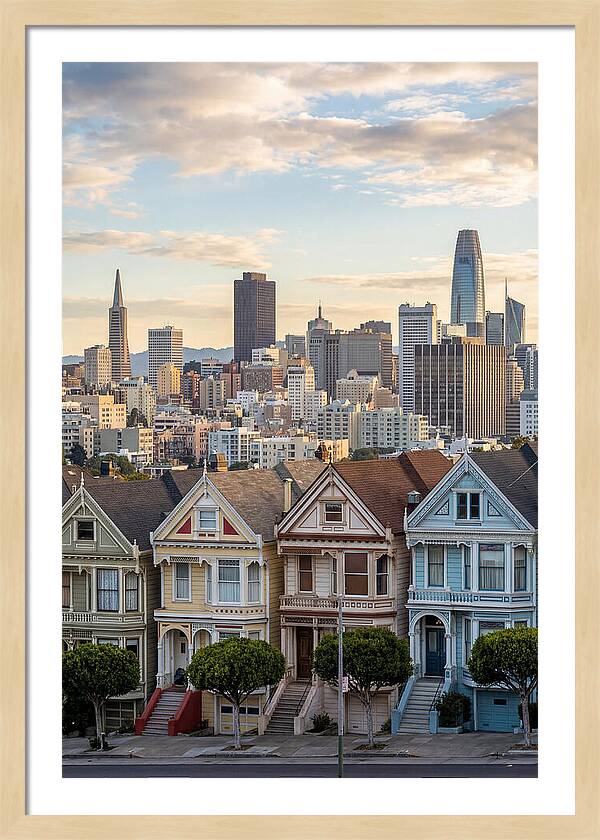 San Francisco Painted Ladies