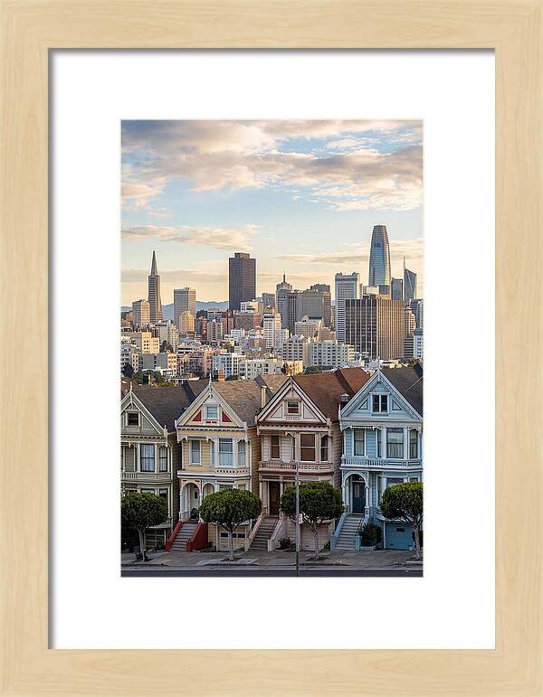 San Francisco Painted Ladies