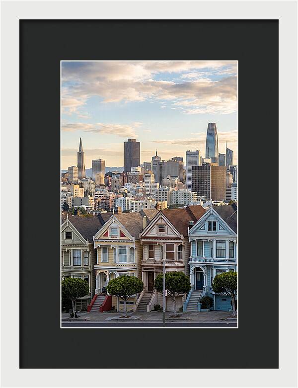 San Francisco Painted Ladies