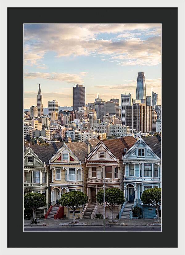 San Francisco Painted Ladies