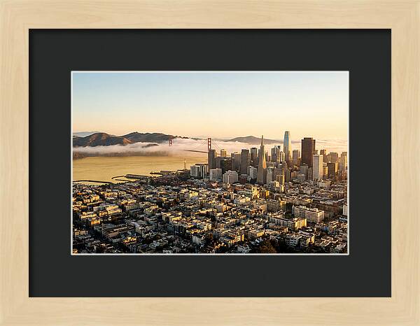 San Francisco Skyline At Golden Hour