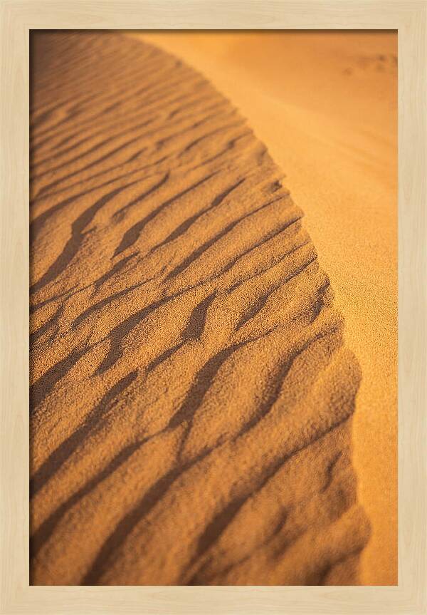 Sand Dune Patterns