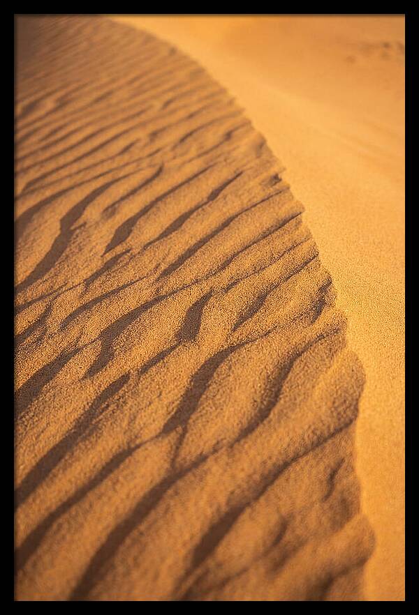 Sand Dune Patterns