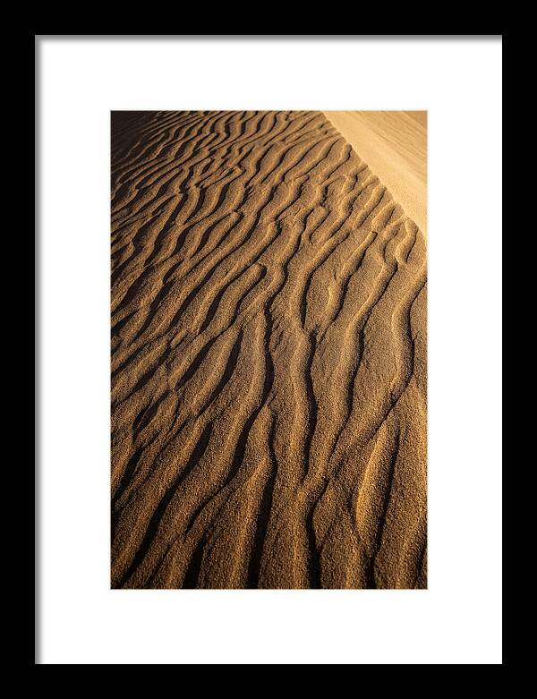 Sand Dune Patterns Under Sunlight