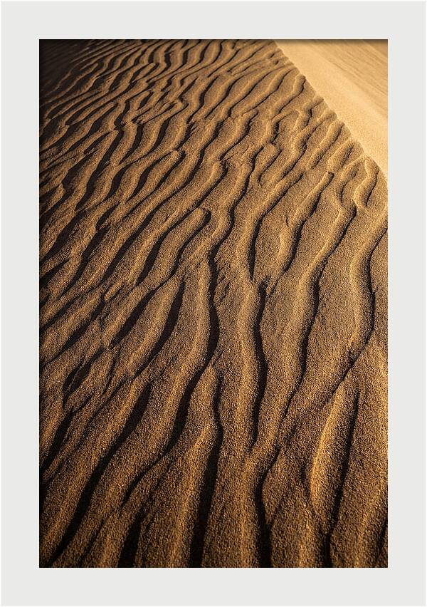 Sand Dune Patterns Under Sunlight