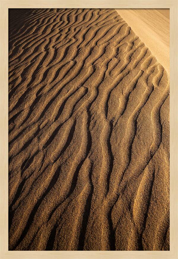 Sand Dune Patterns Under Sunlight